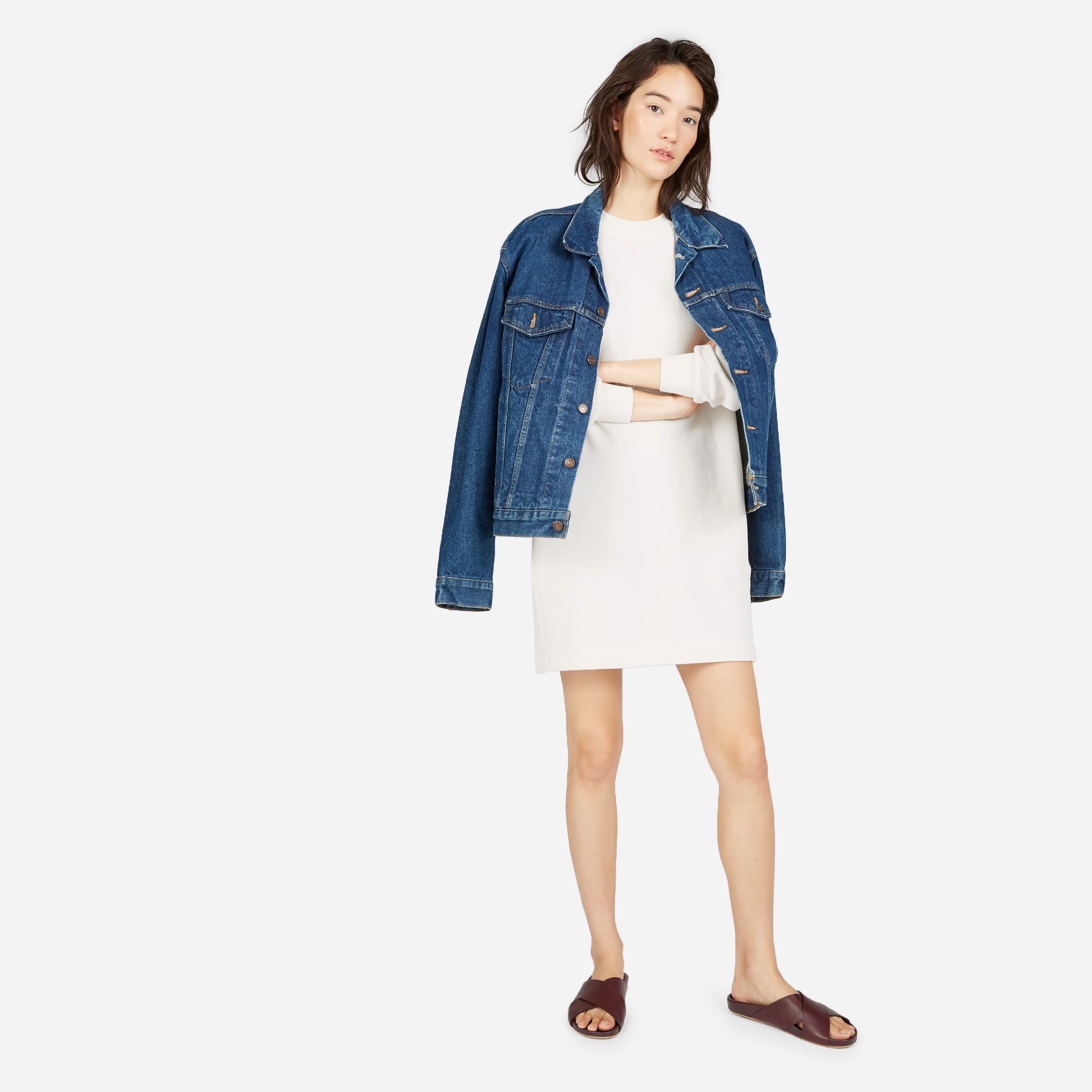 everlane sweatshirt dress