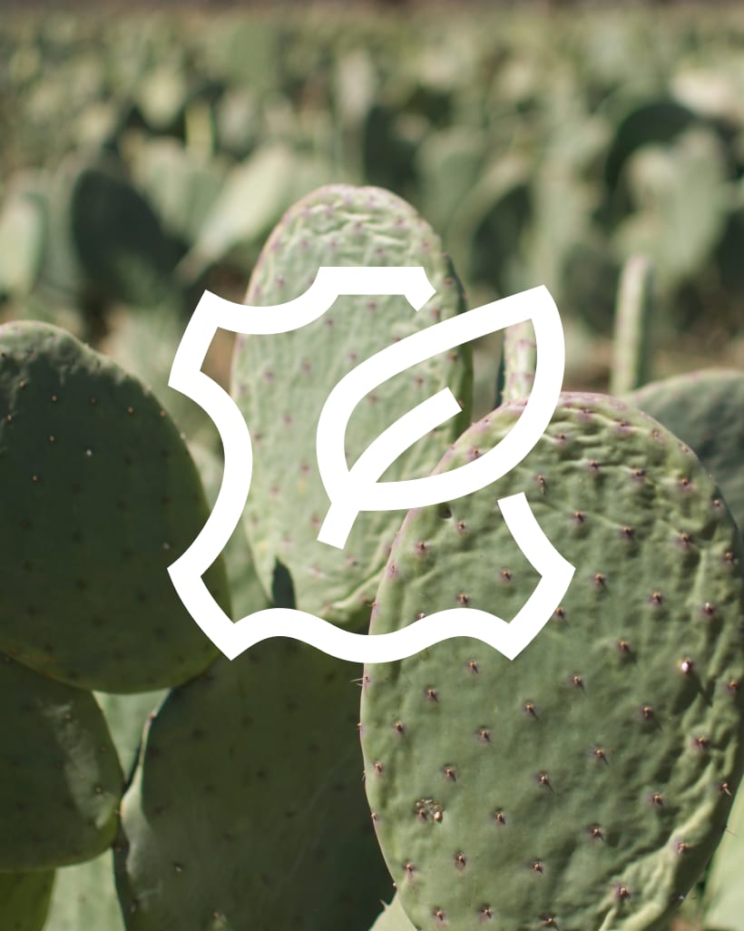 Everlane pic description