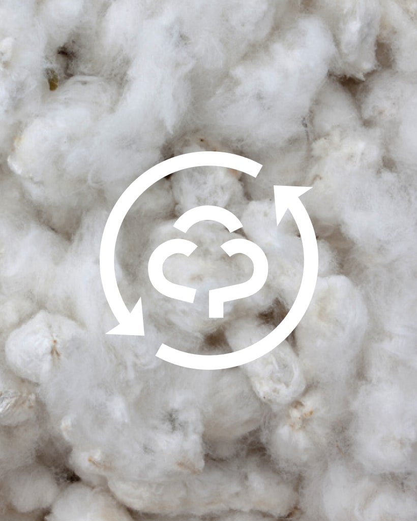Everlane pic description