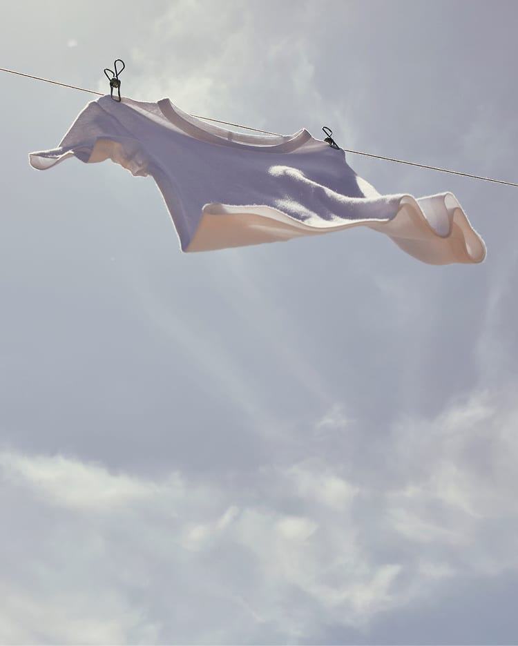 Everlane pic description