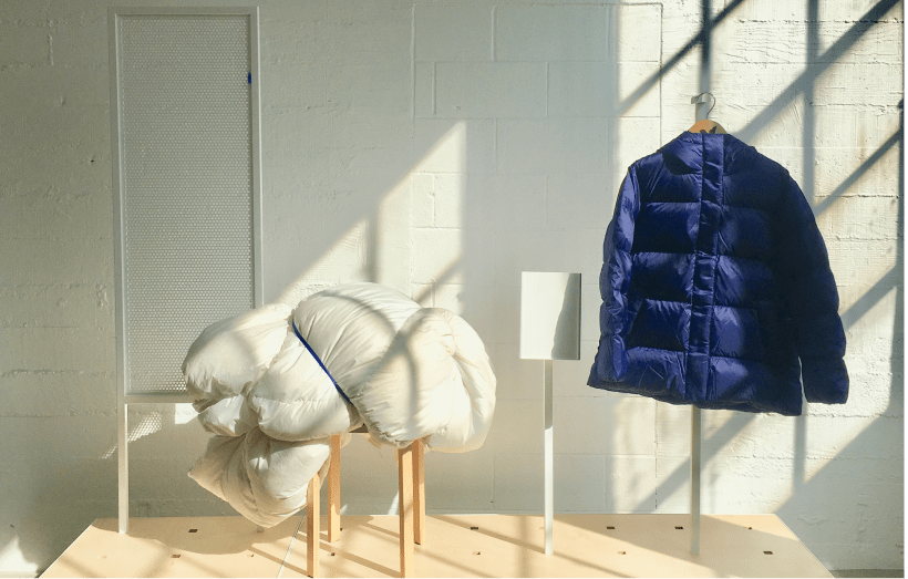 Everlane pic description