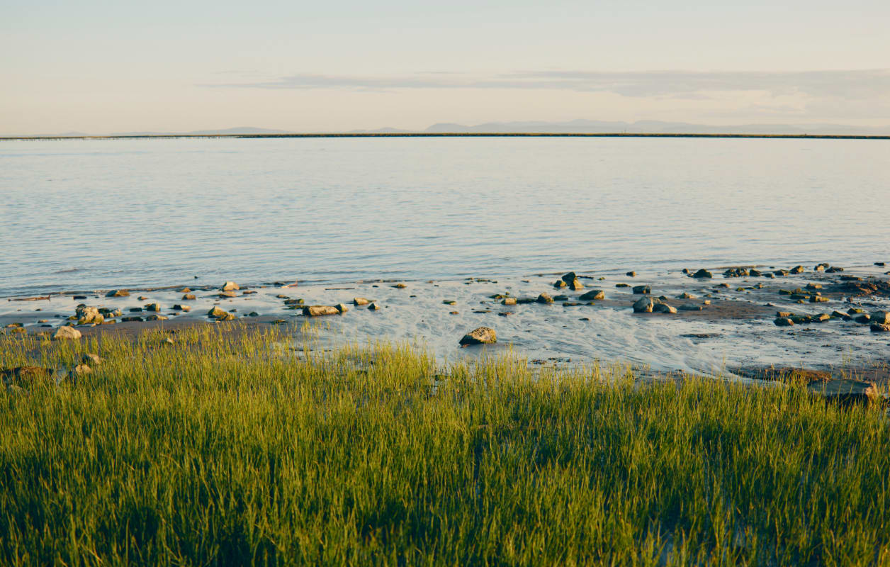 Everlane pic description