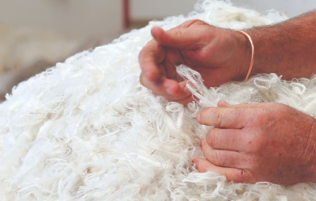 Everlane pic description