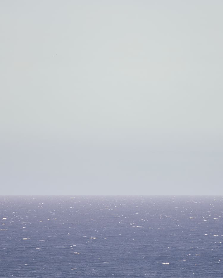 Everlane pic description