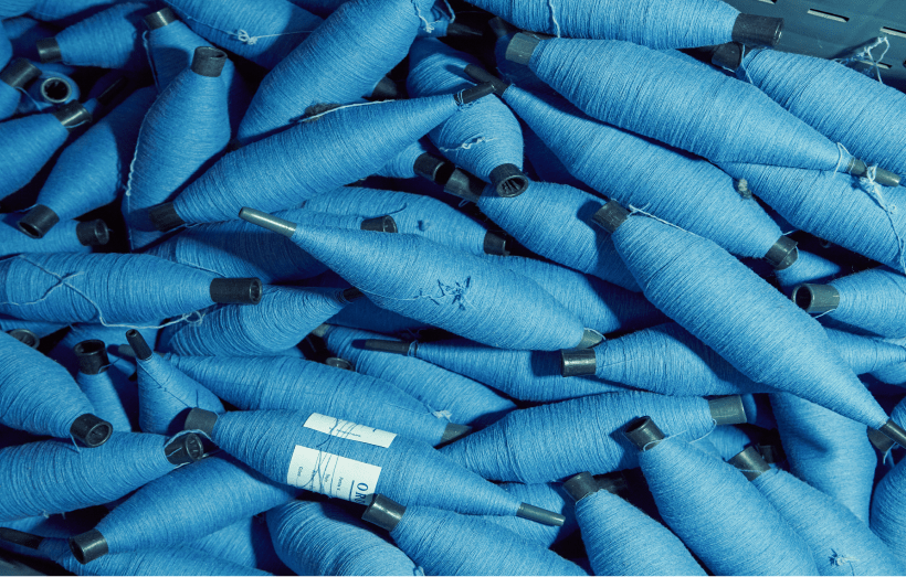 Everlane pic description