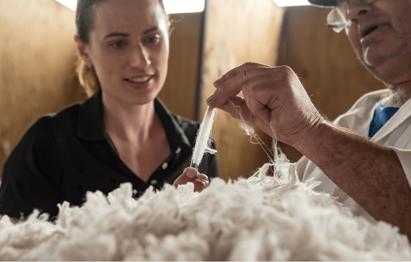 Everlane pic description