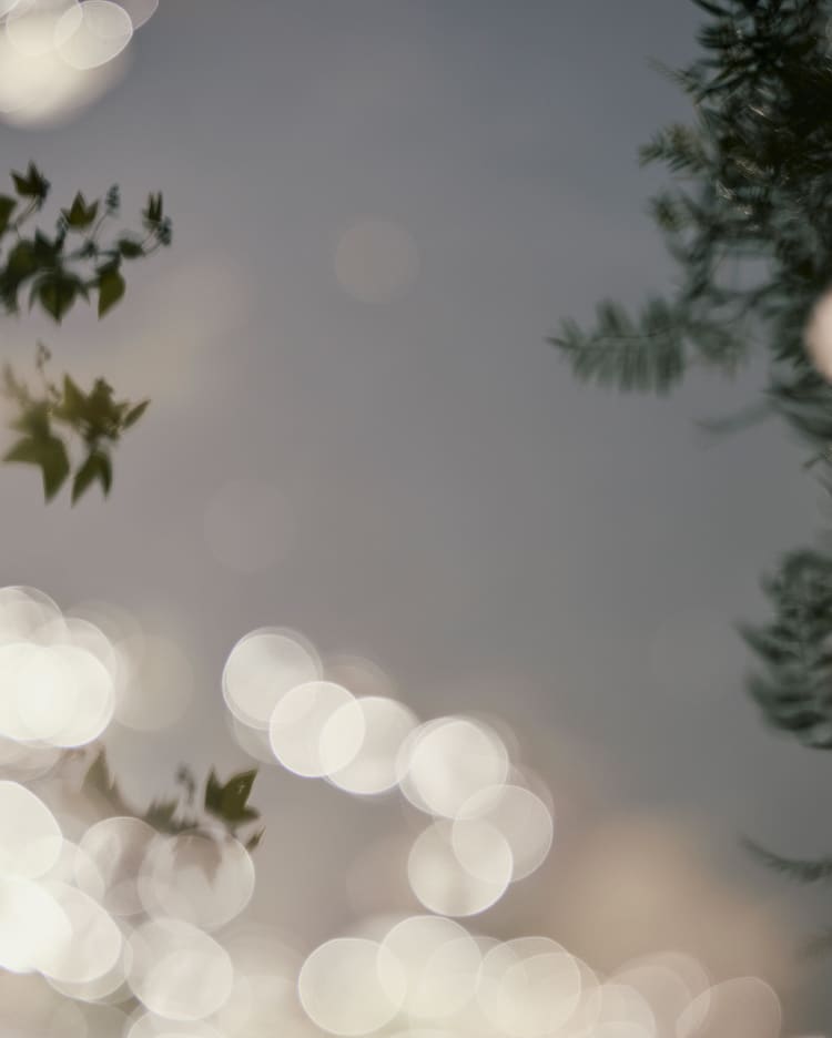 Everlane pic description