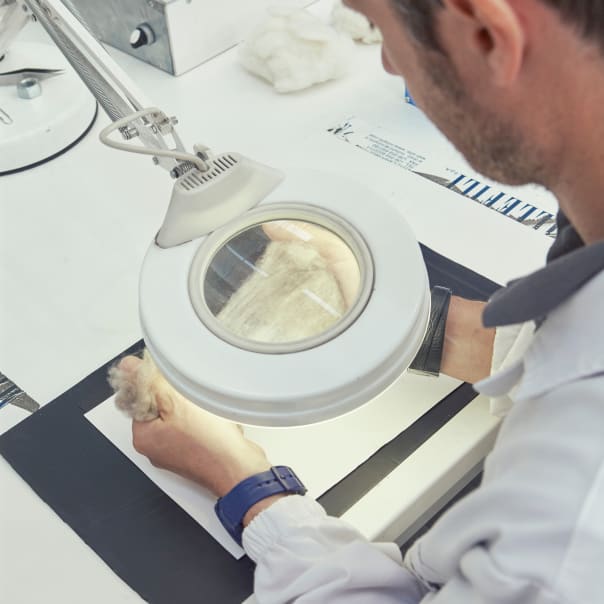 Everlane pic description