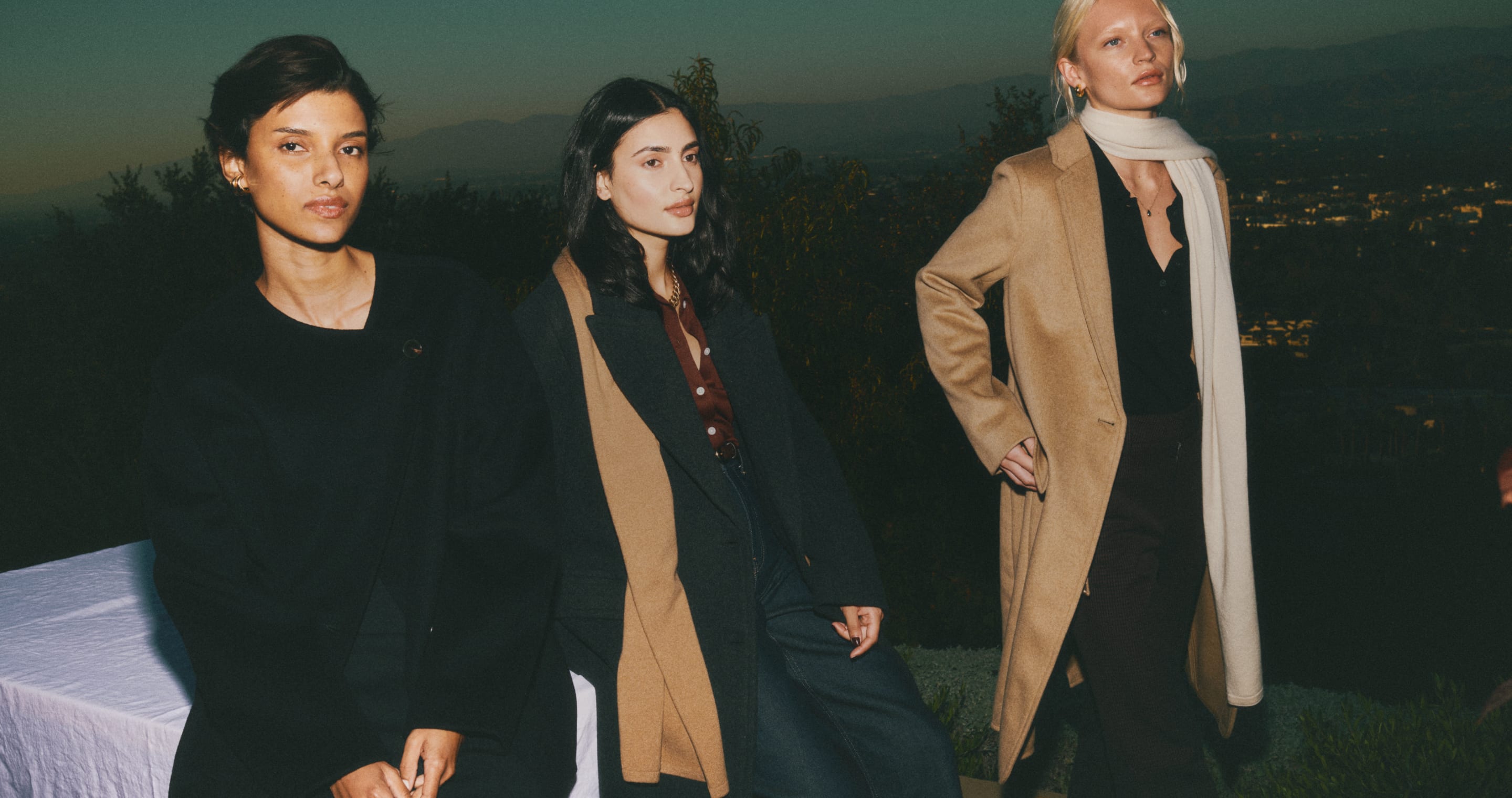 Everlane pic description