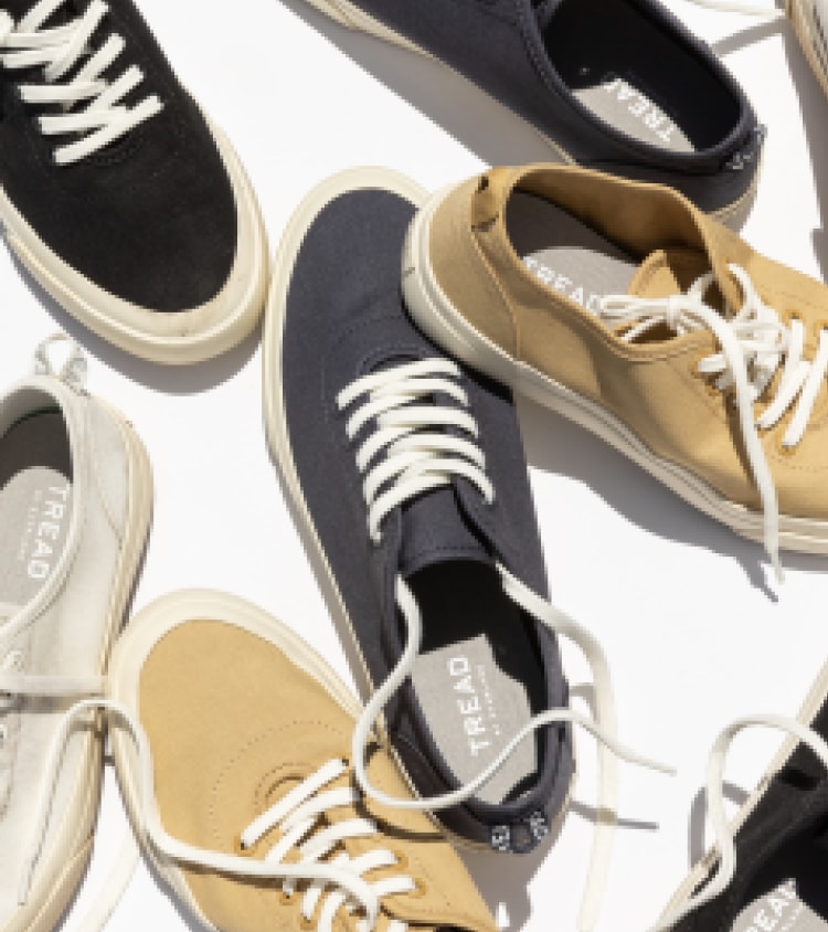 Everlane pic description