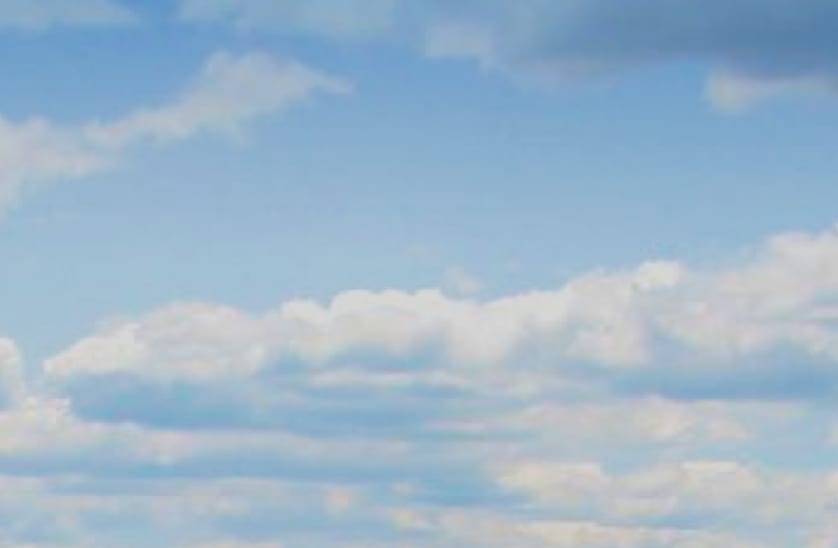 Everlane pic description