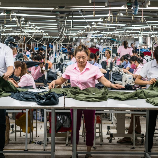 Everlane pic description