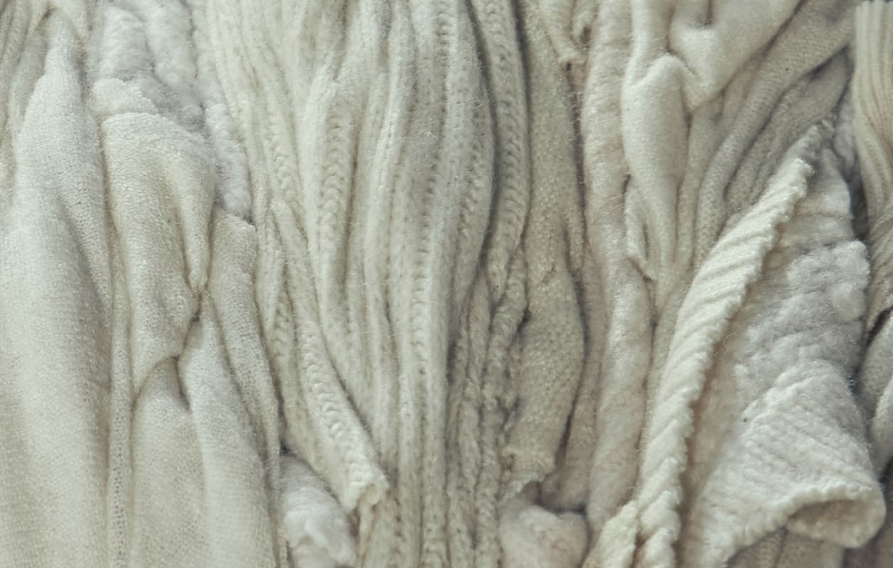 Everlane pic description