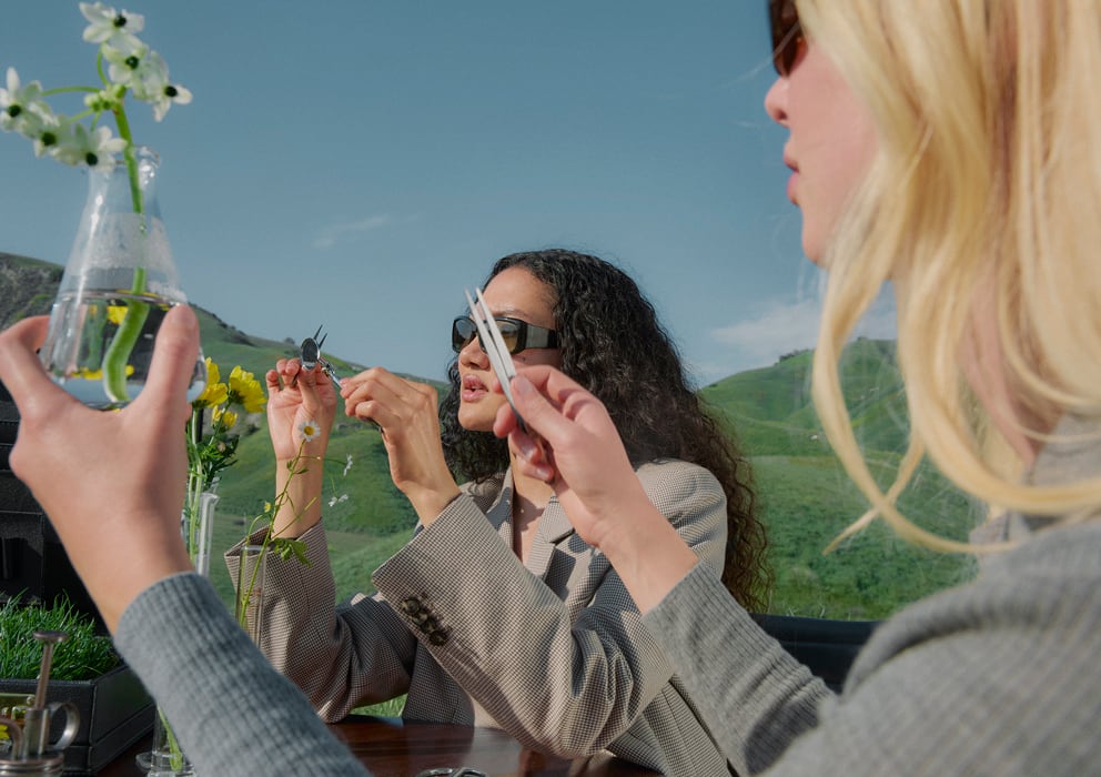 Everlane pic description