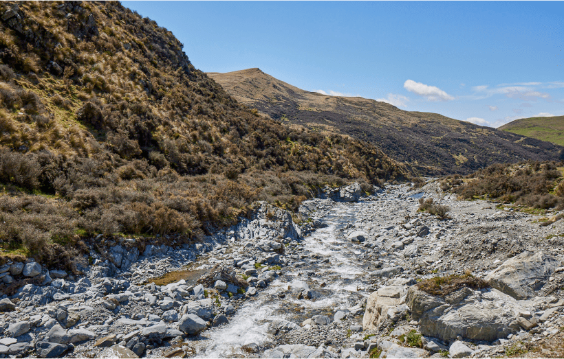 Everlane pic description