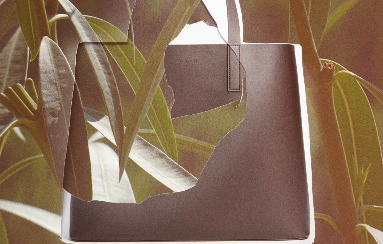 Everlane pic description
