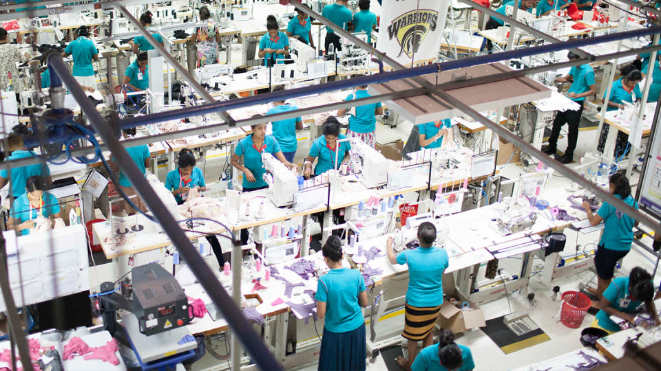factories everlane