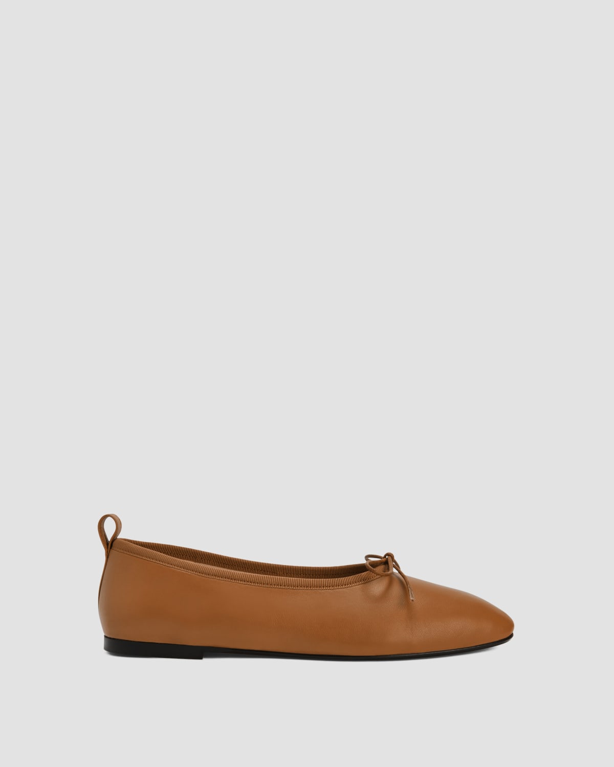 Everlane The Day Ballet Flat
