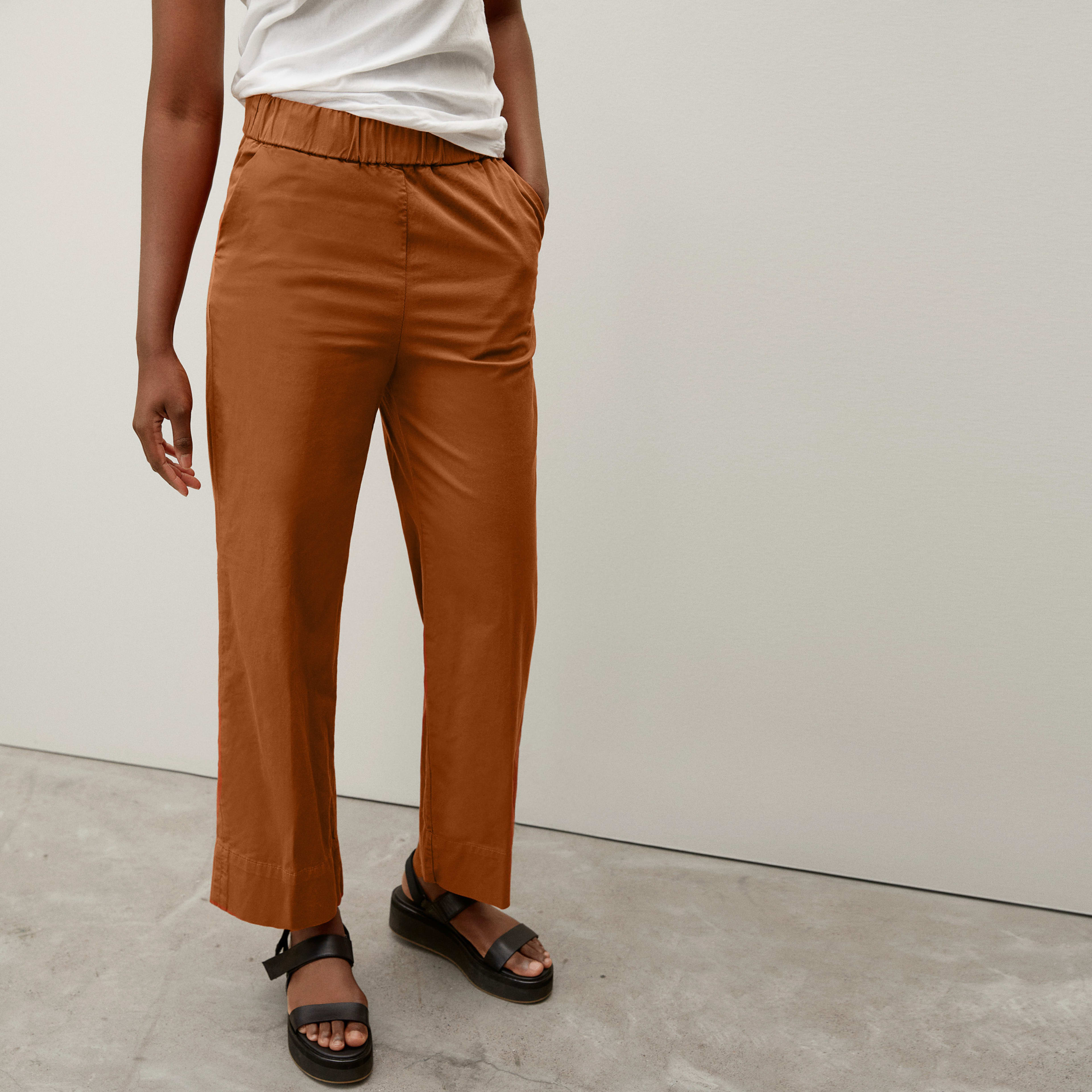 The Easy Pant Honey Everlane