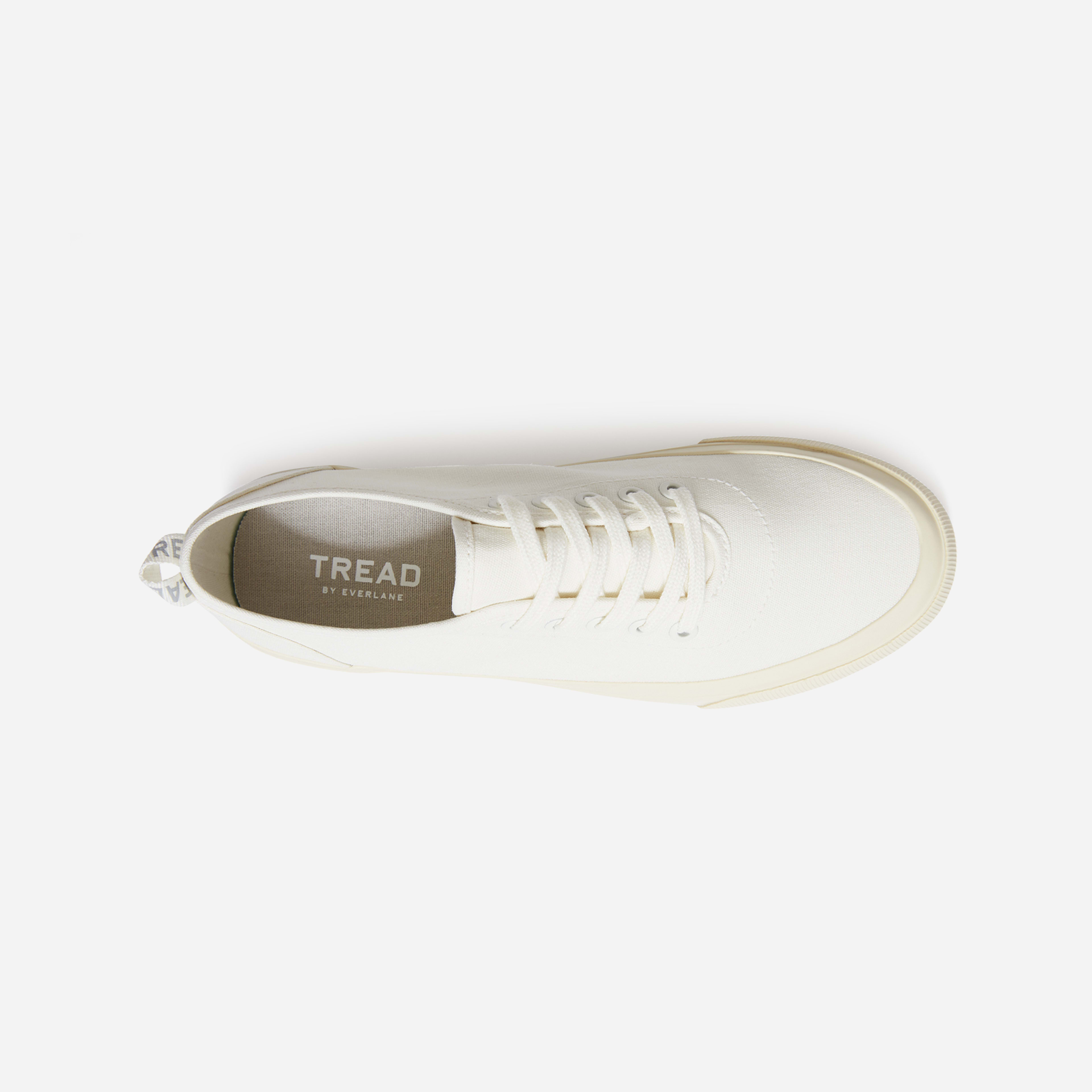everlane forever sneaker