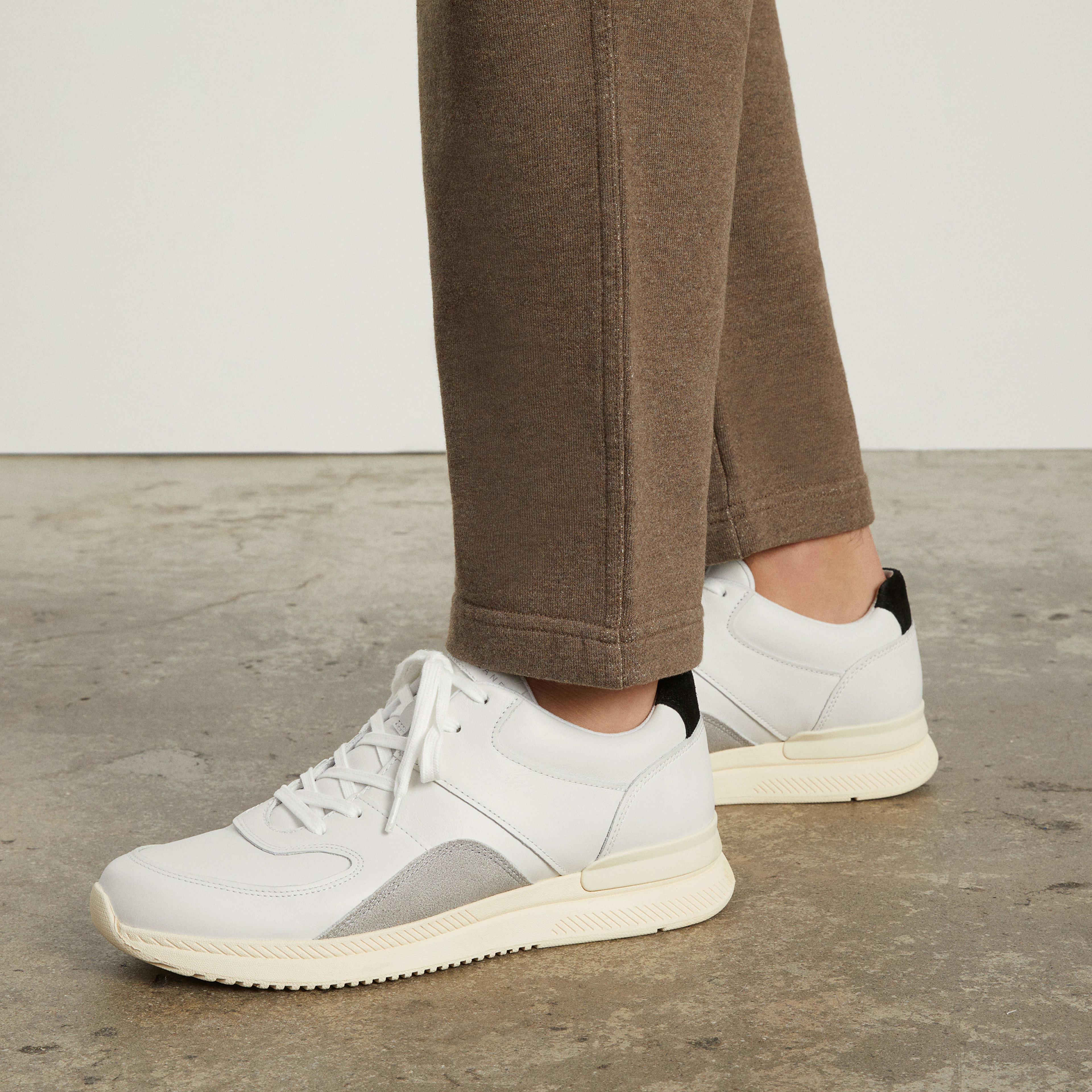 everlane white sneakers