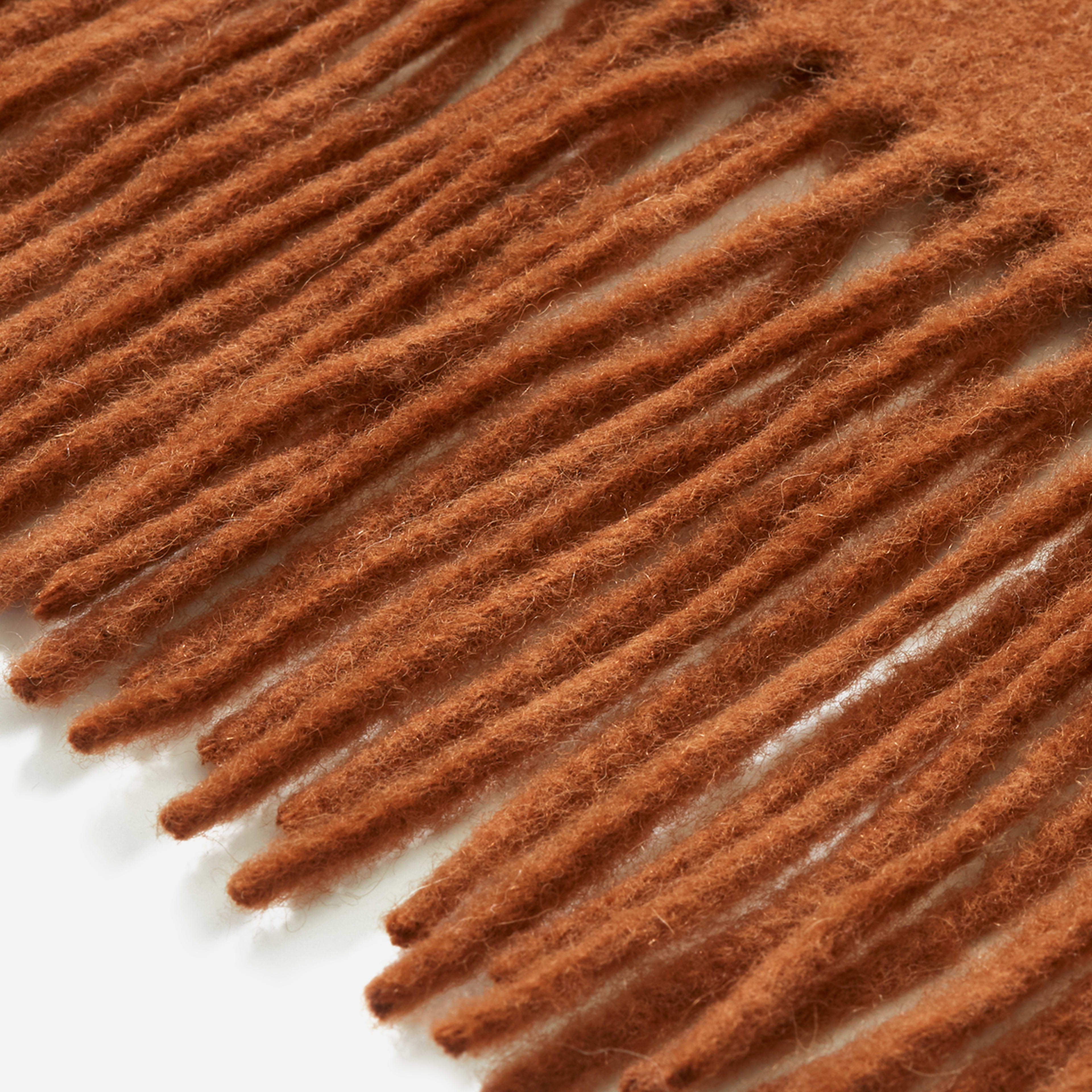 The WoolCashmere Blanket Scarf Cider Everlane