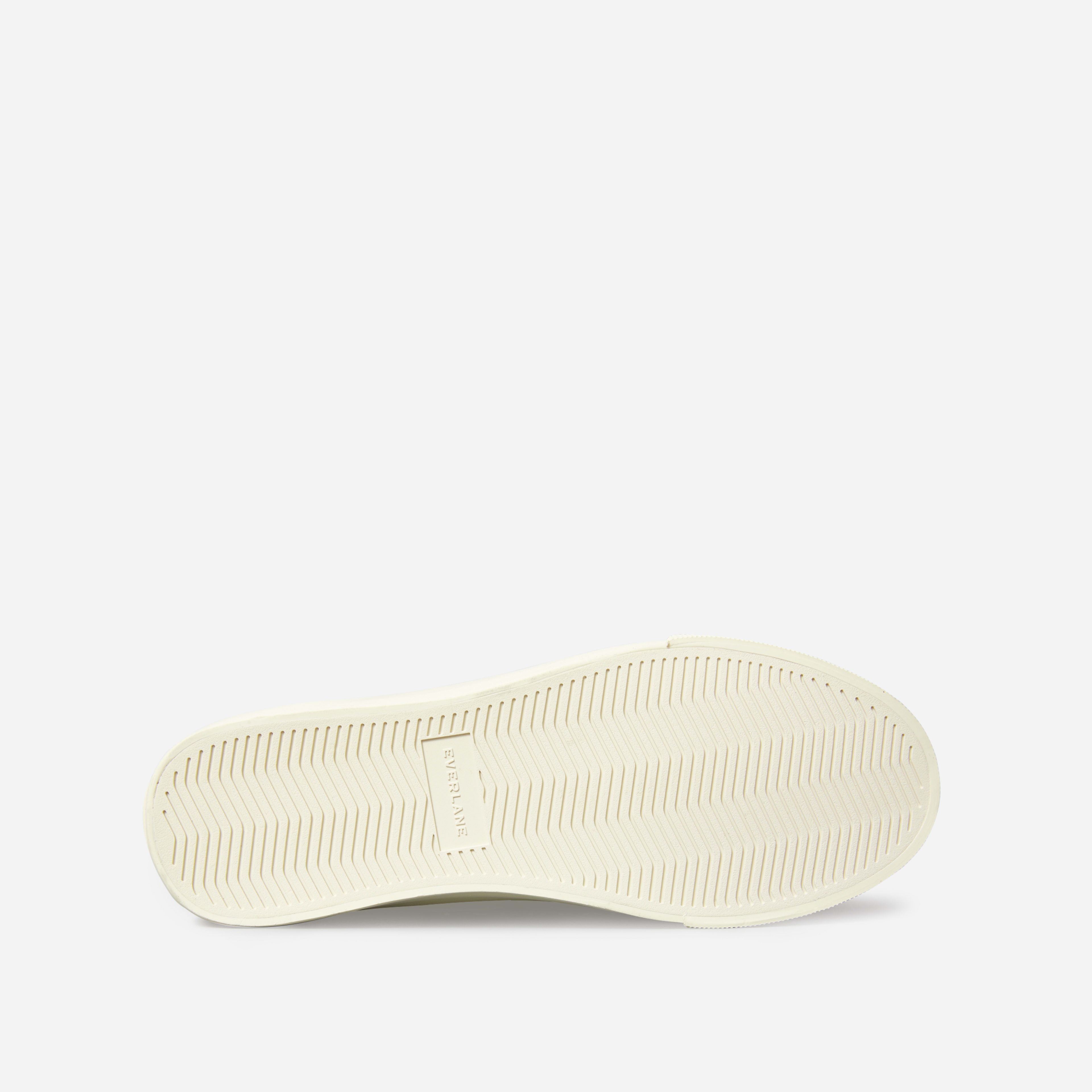everlane white sneakers