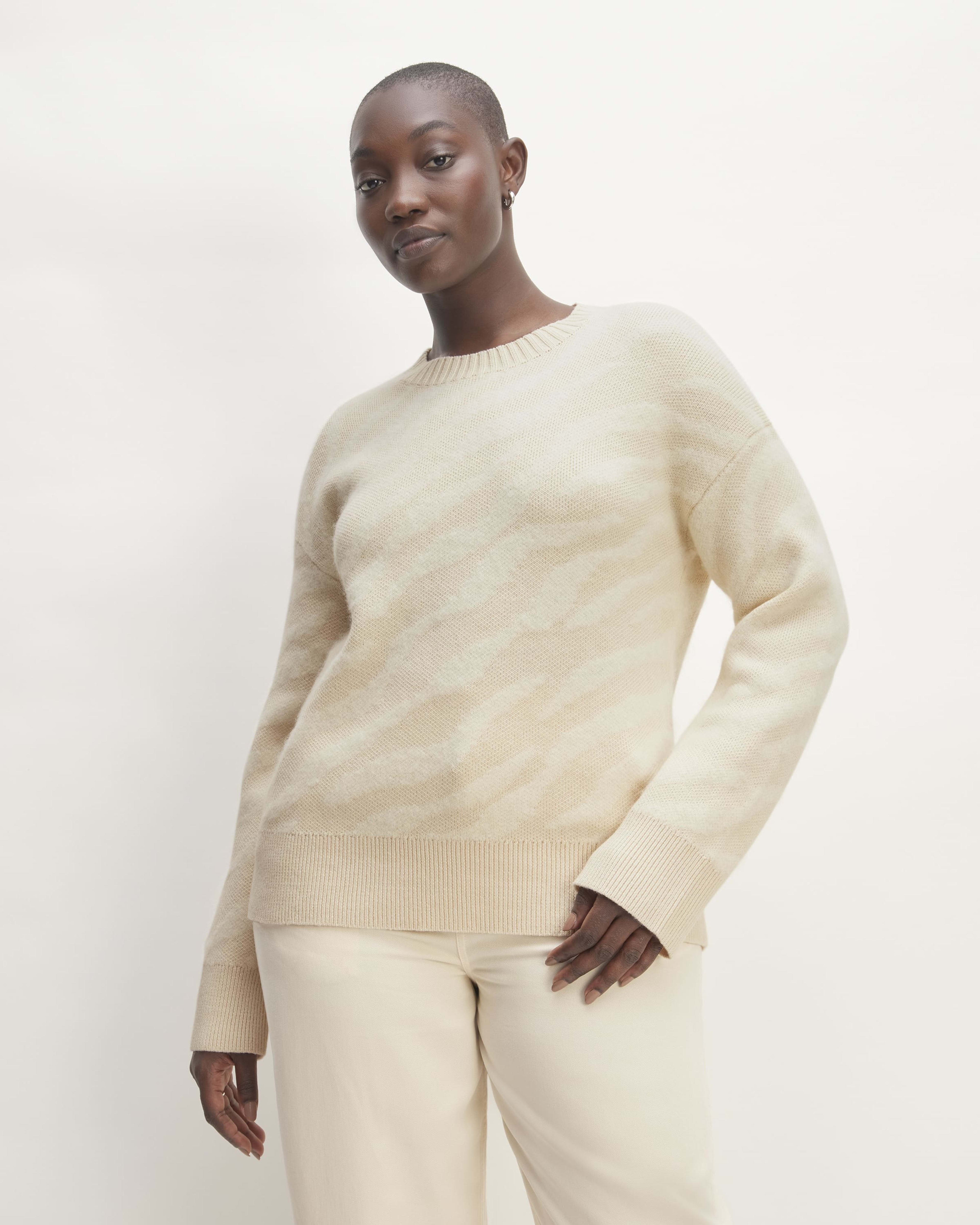 The Organic Cotton Ribbed Turtleneck Canvas Everlane