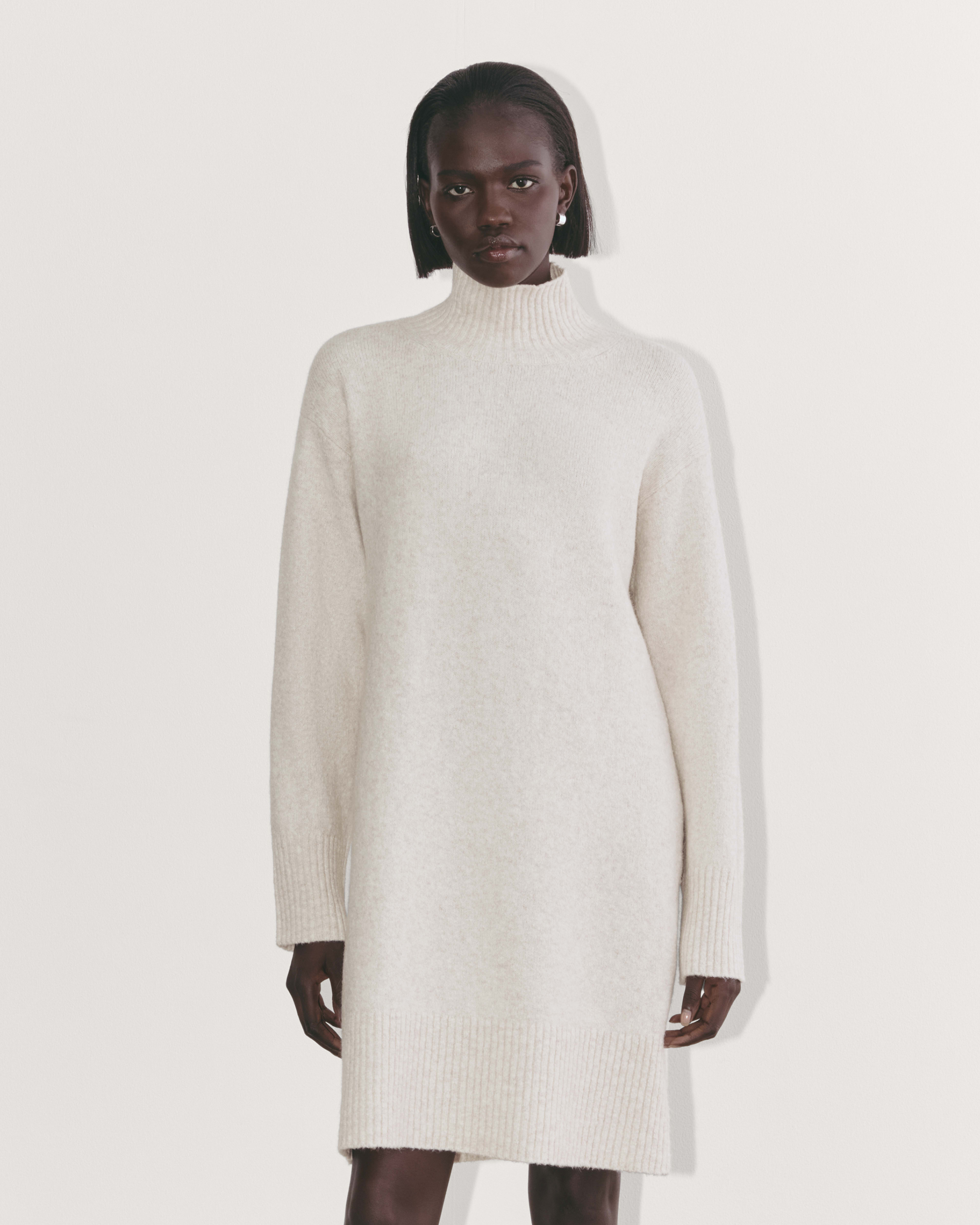 The Sweater Dress in Plush Cotton Heathered Oat Everlane