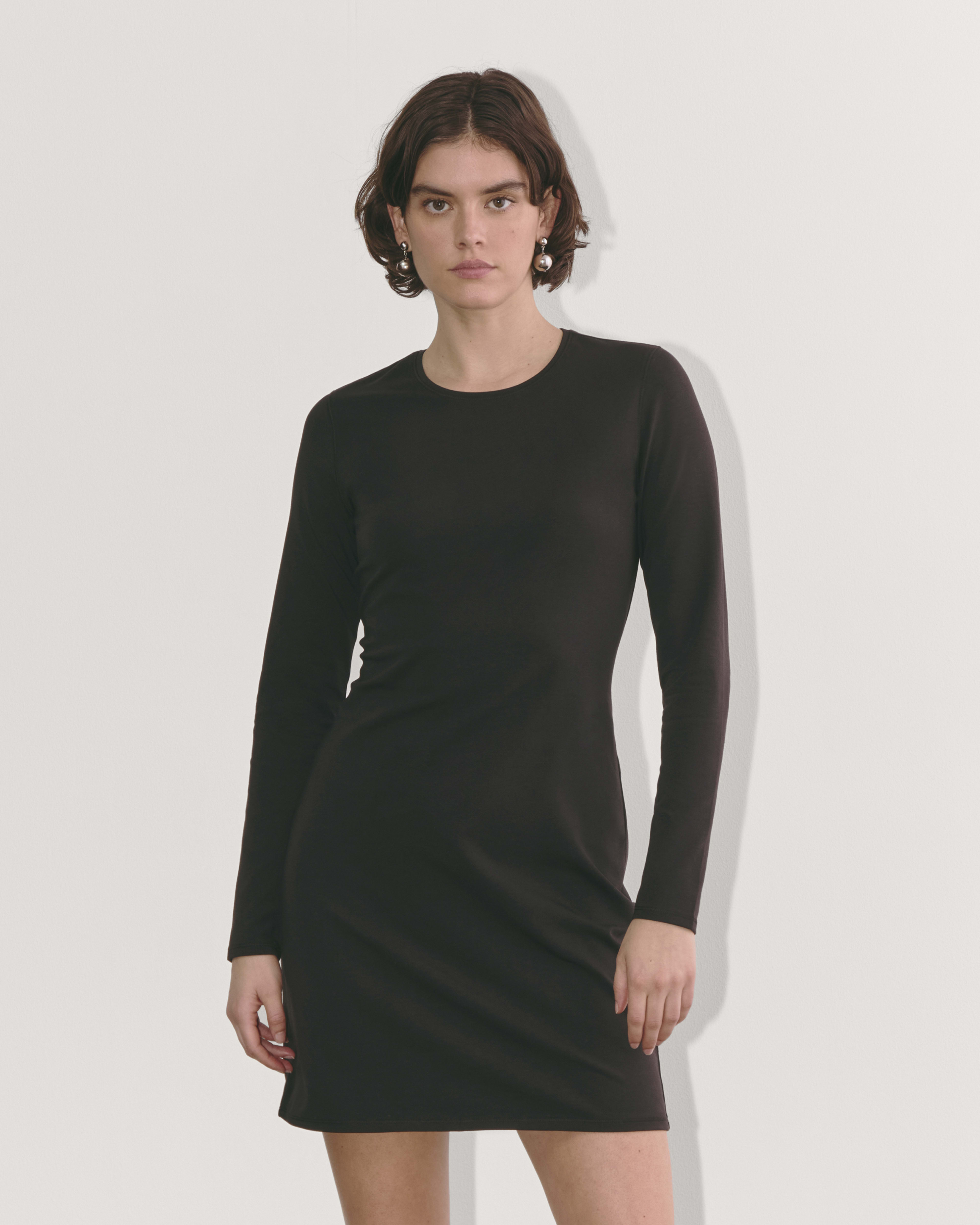 Everlane turtleneck dress on sale