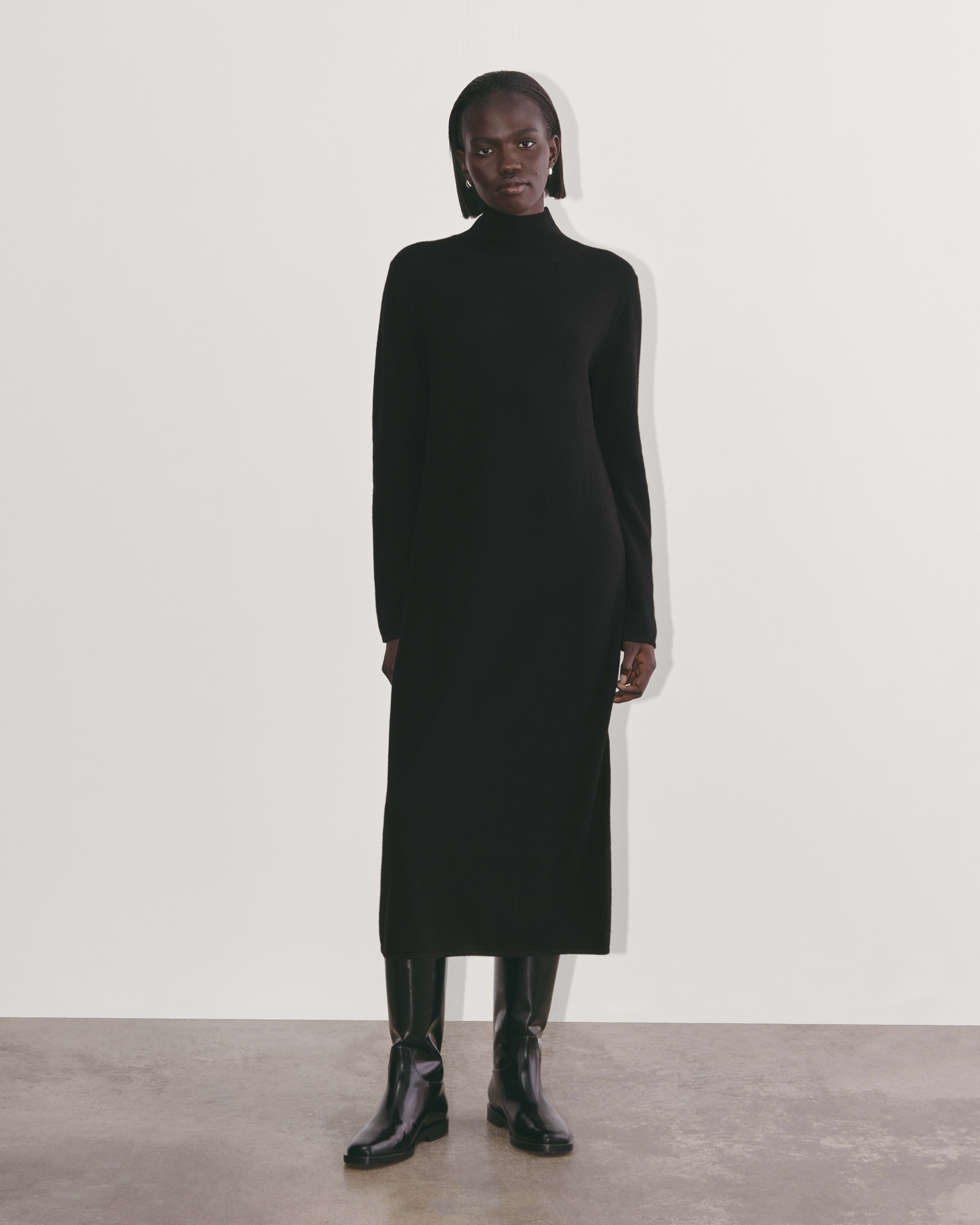 Everlane turtleneck dress hot sale