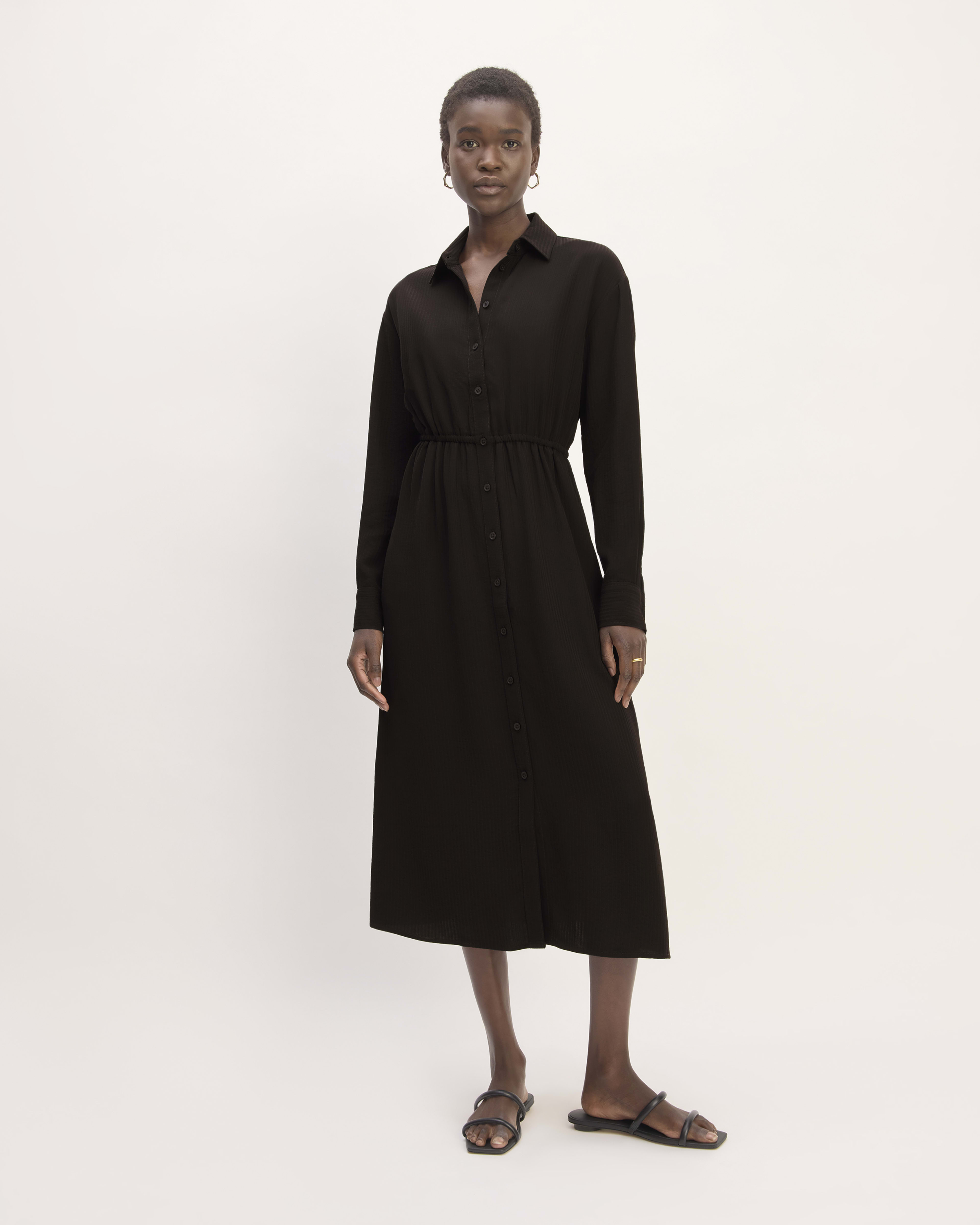 Everlane striped shirt dress 2025