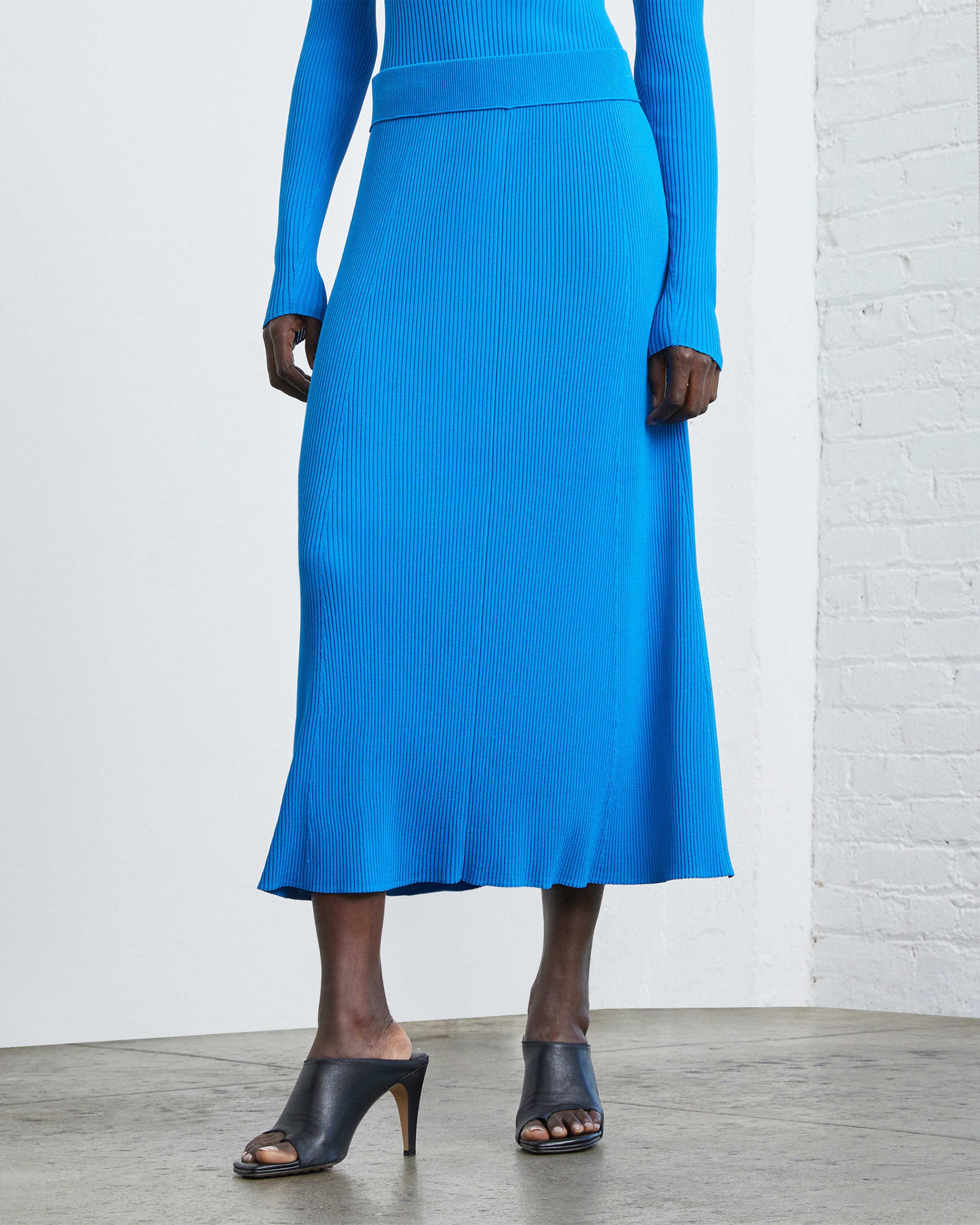 Everlane swing new arrivals skirt review