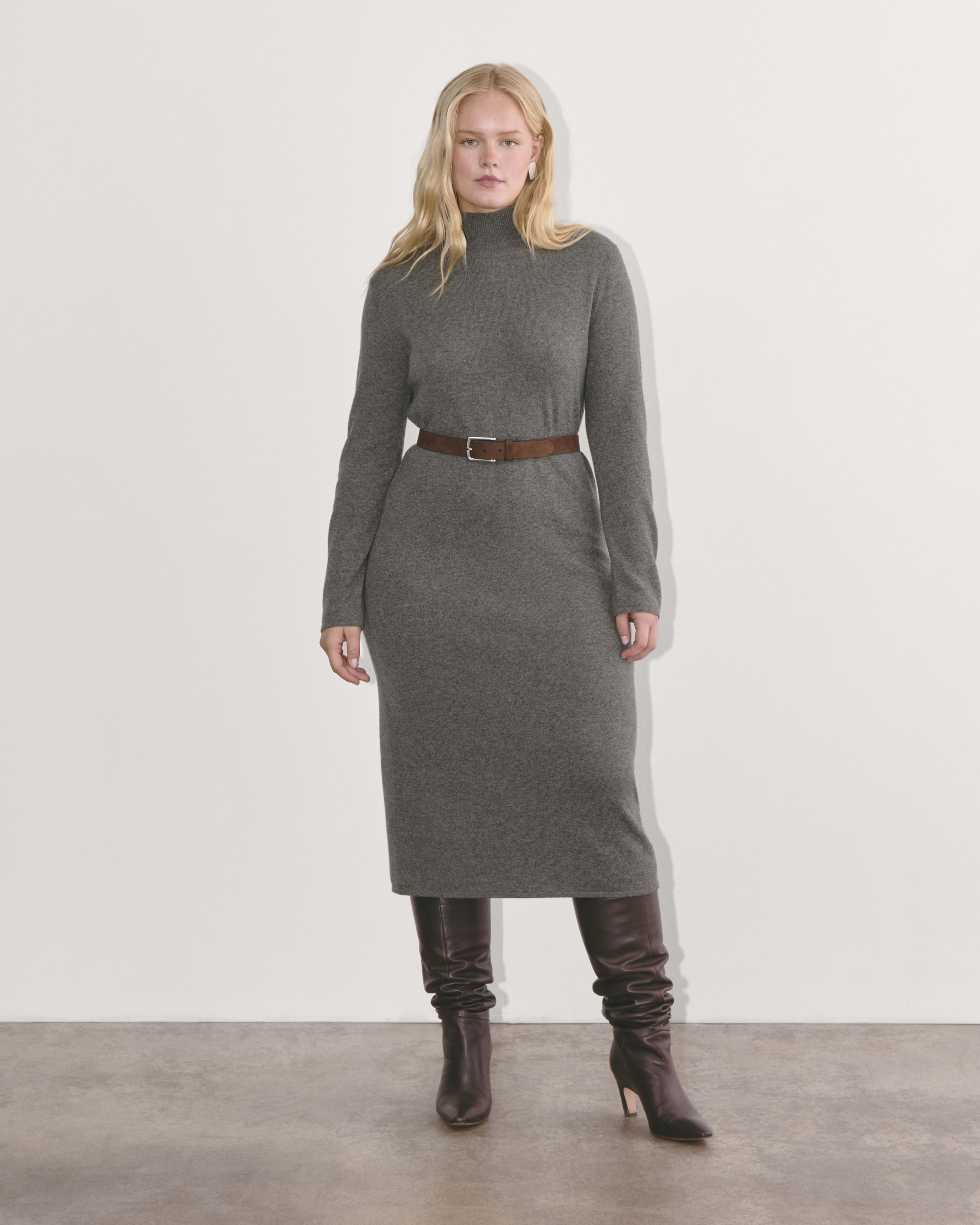 Everlane turtleneck dress hot sale