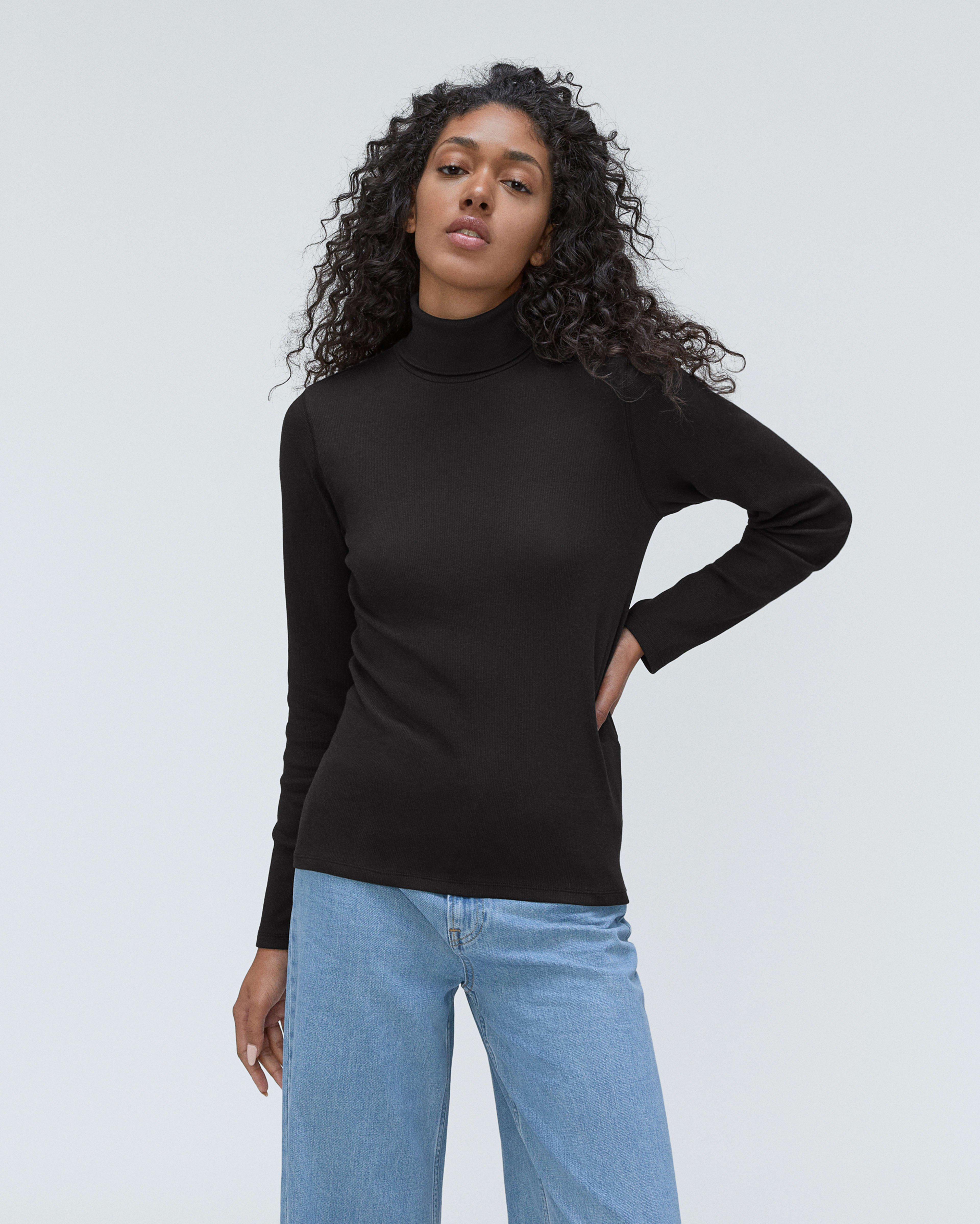 The Supima® Micro-Rib Turtleneck Black – Everlane