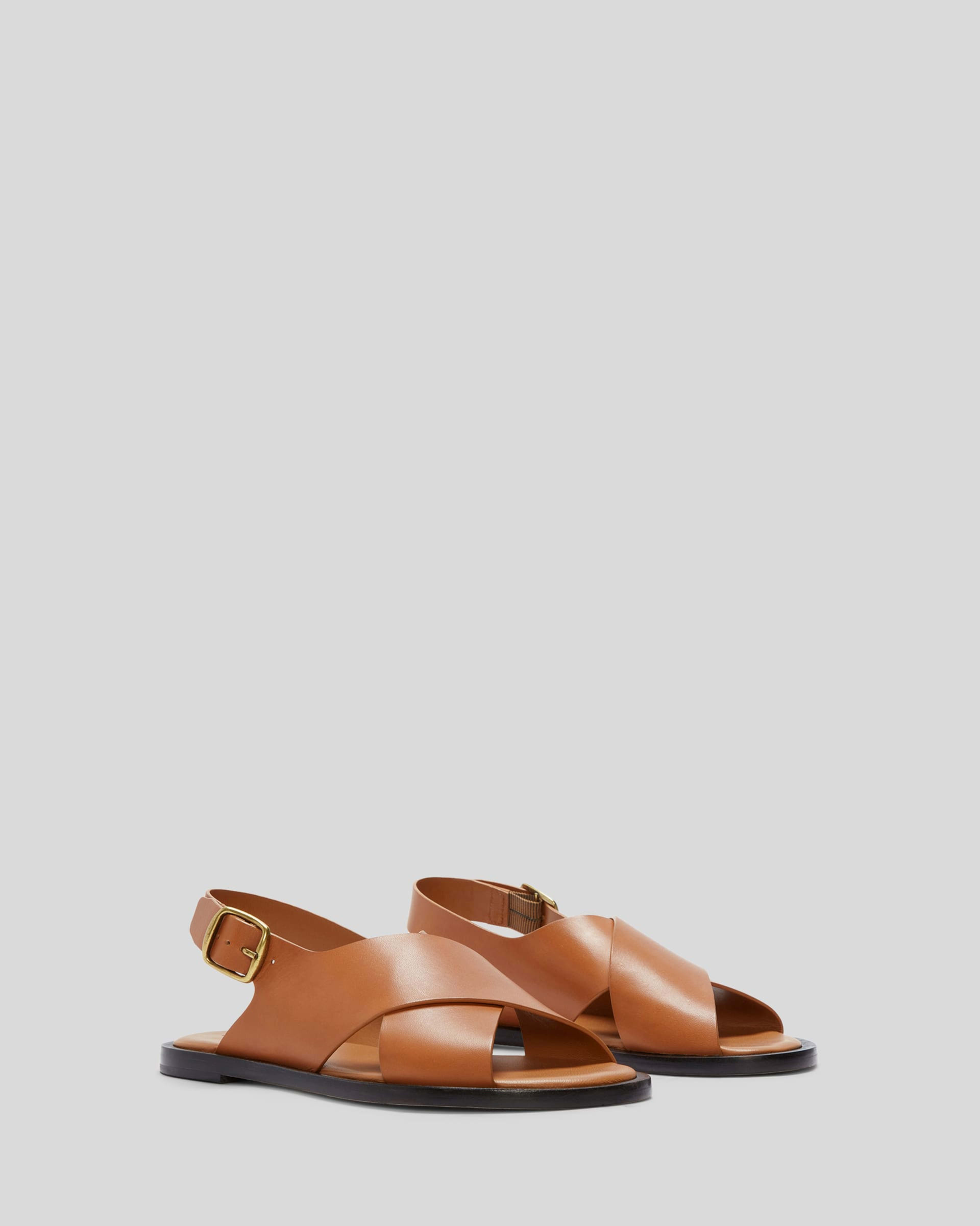 Everlane three new arrivals strap sandal