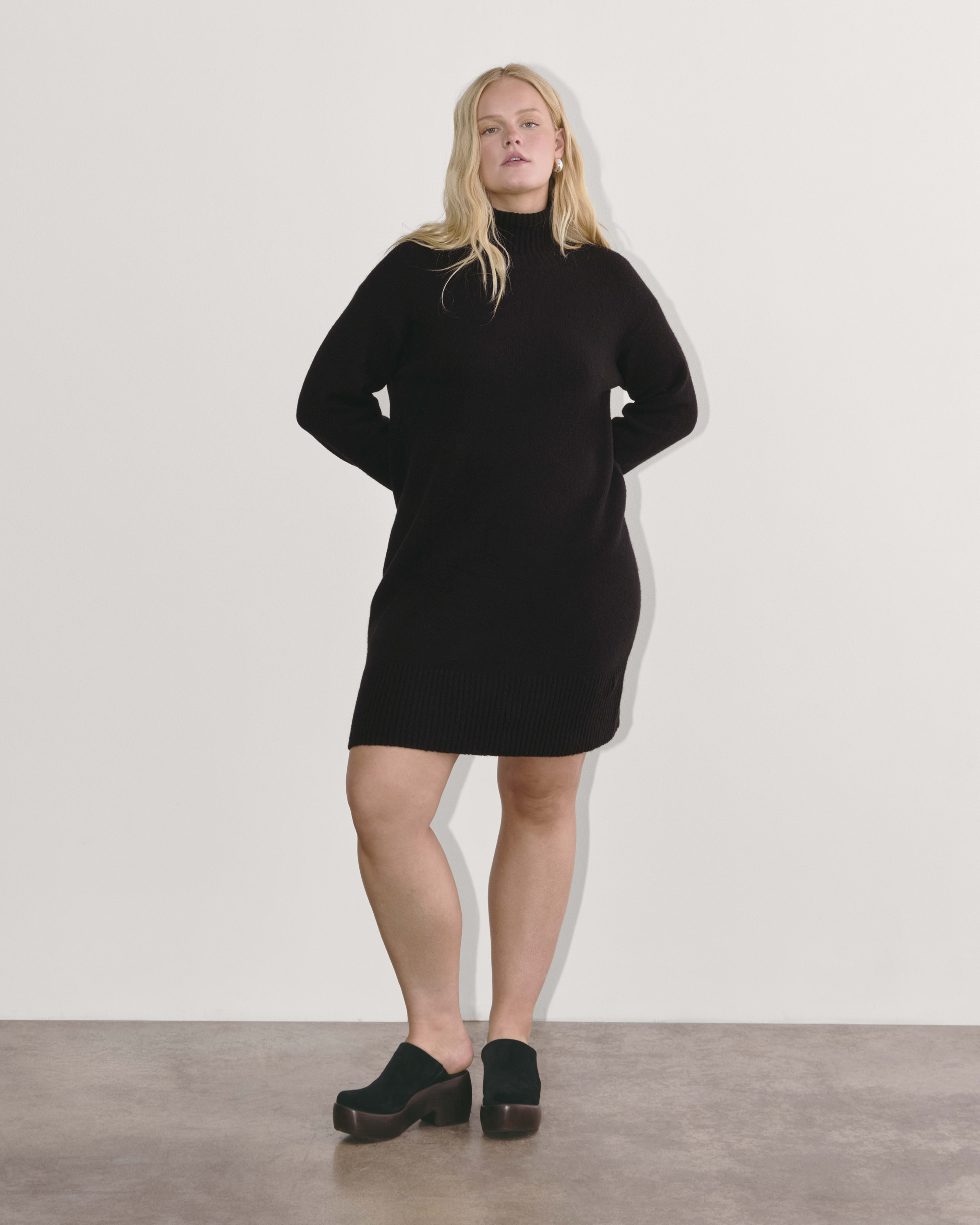 Everlane turtleneck dress deals