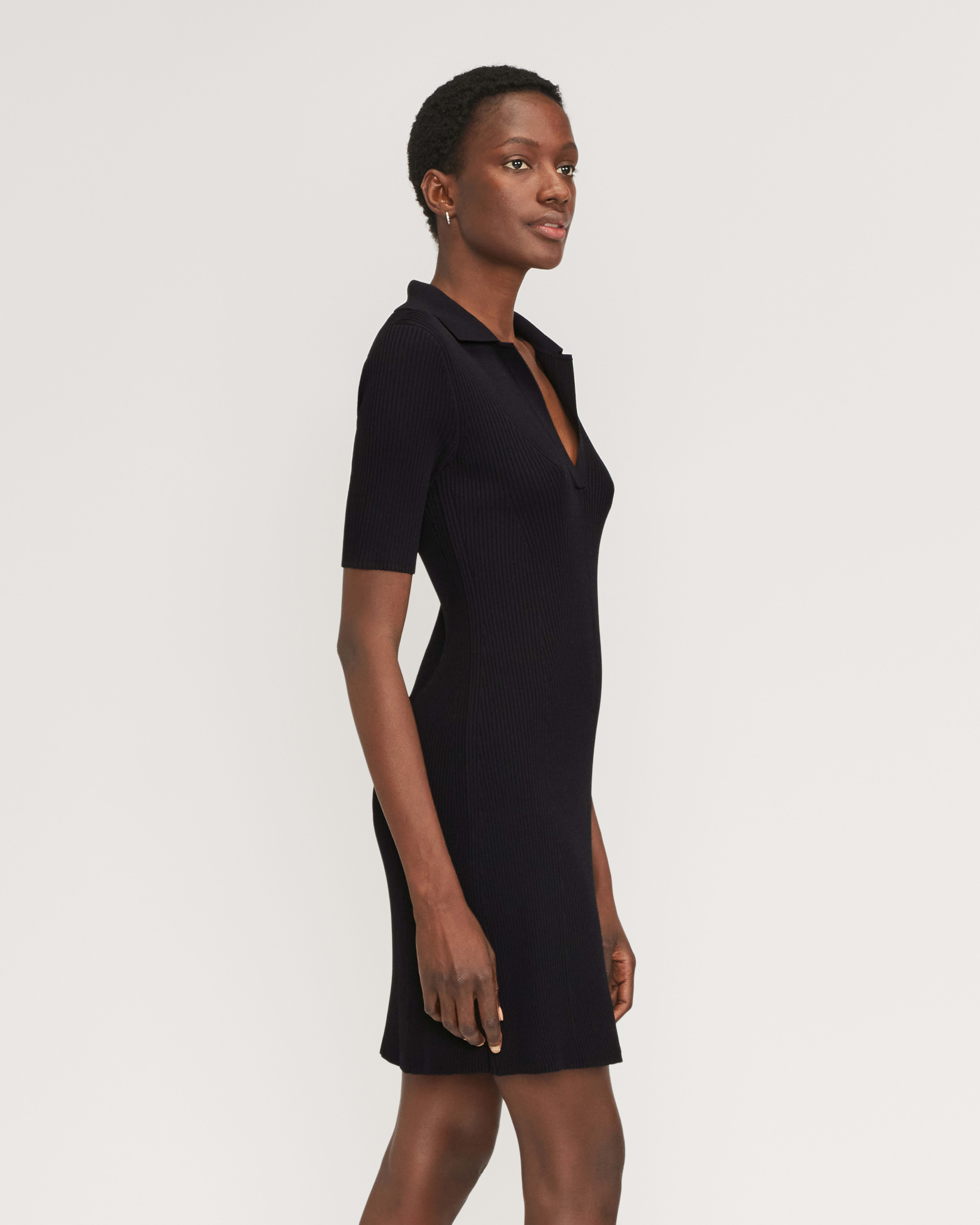 The Ribbed ShortSleeve Polo Dress Black Everlane