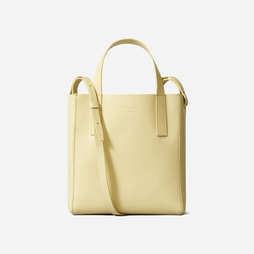 everlane day tote mini