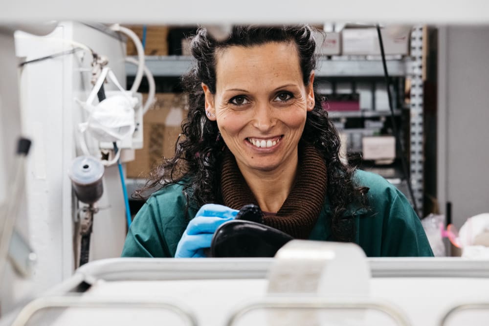 everlane espadrilles