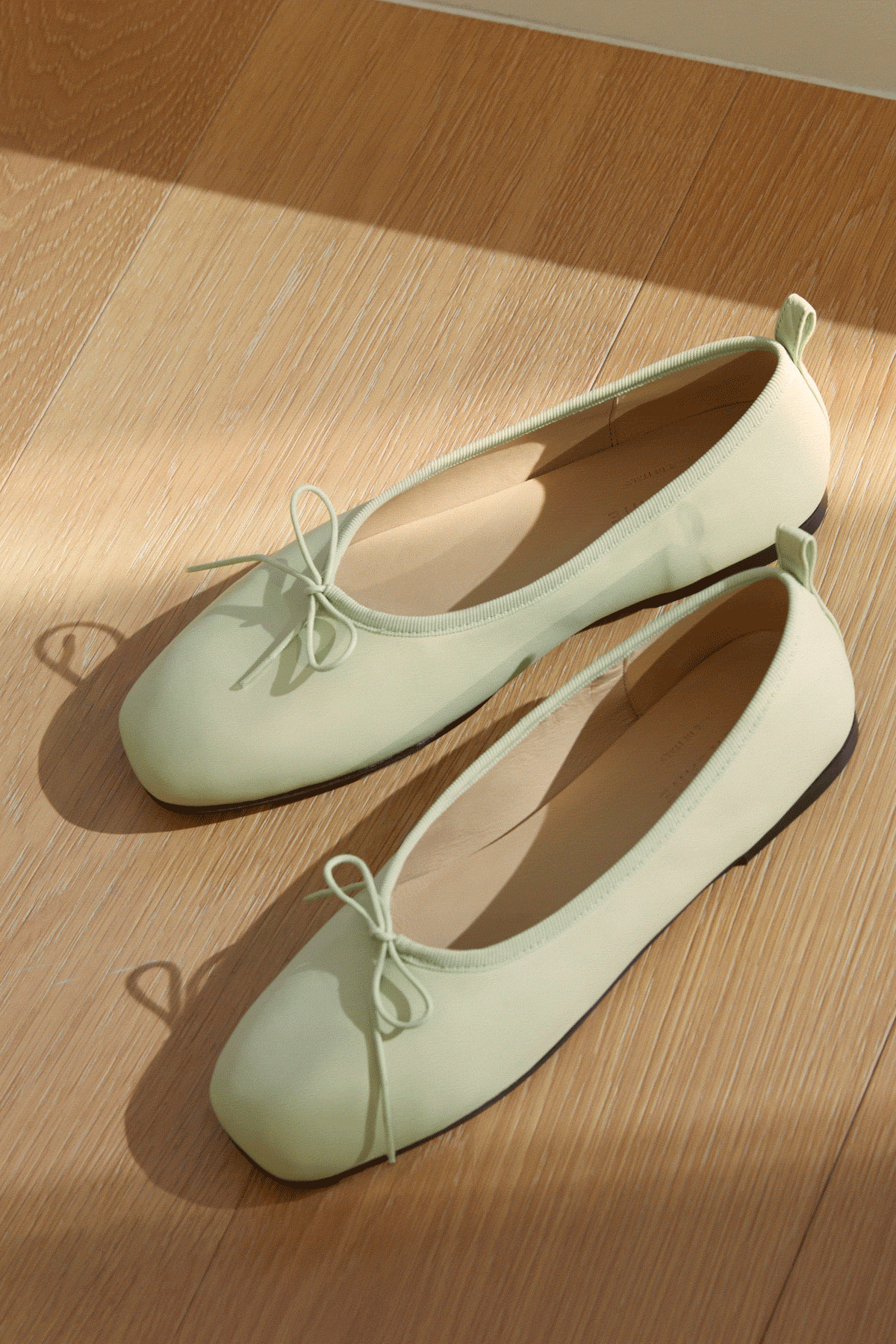 Spring MustHave The Day Ballet Flat Everlane