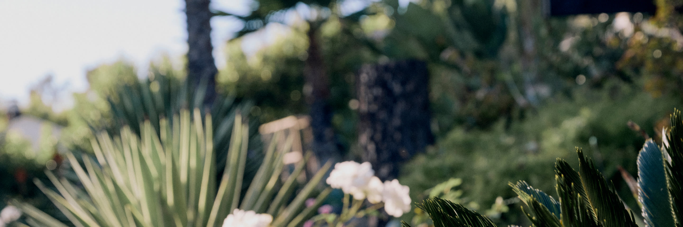 Everlane pic description