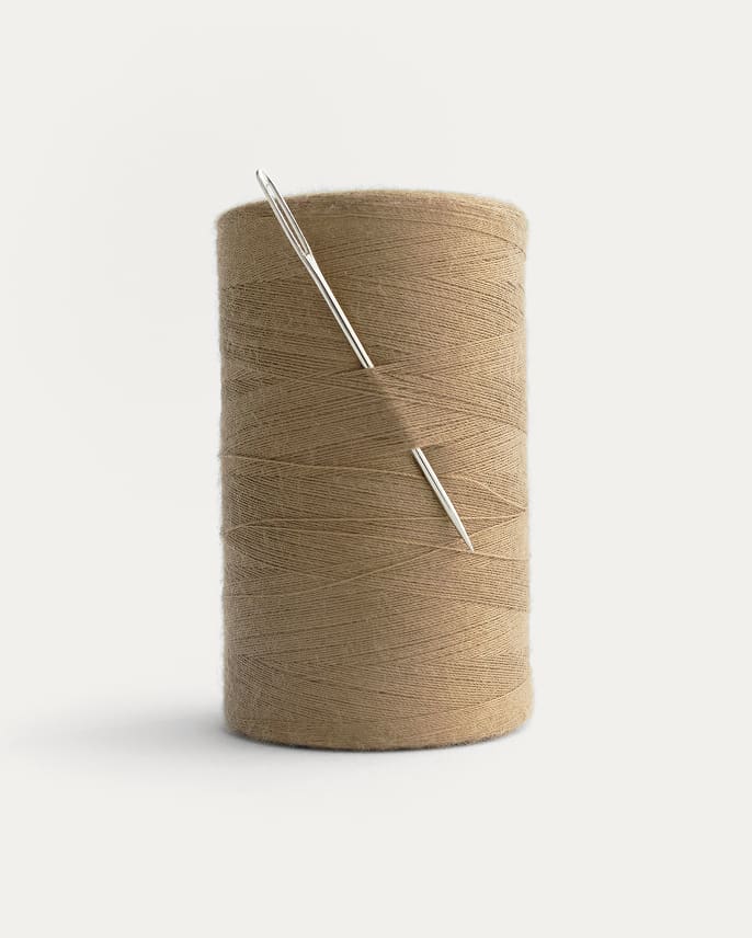 Everlane pic description