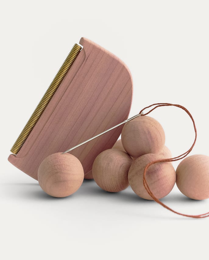 Everlane pic description