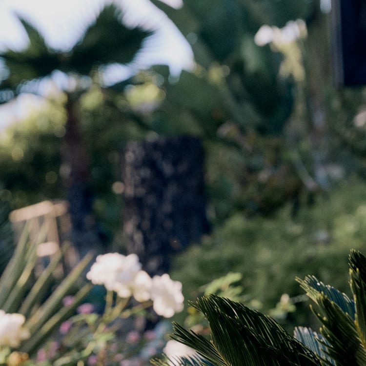 Everlane pic description