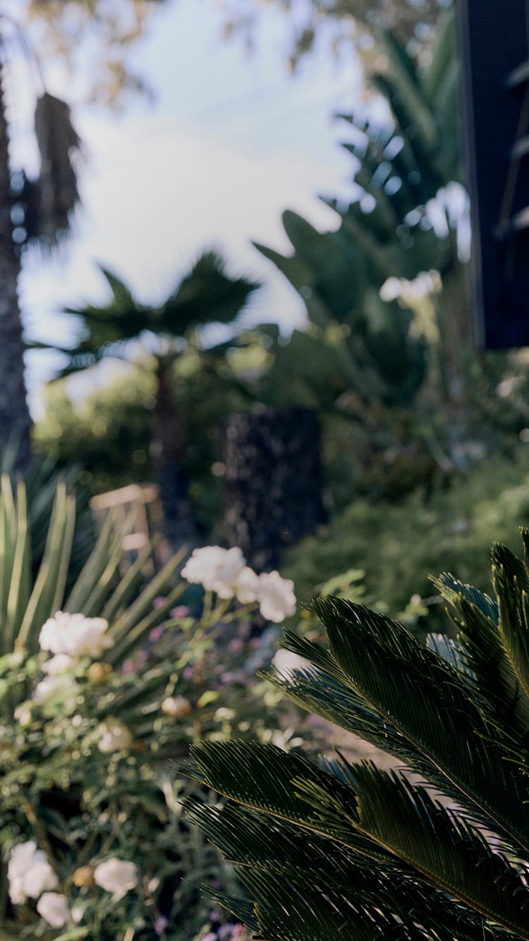 Everlane pic description