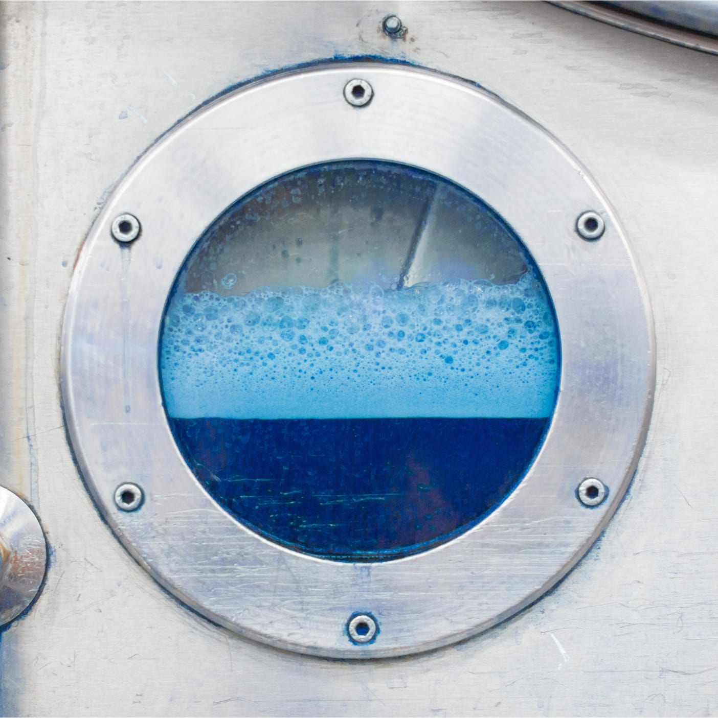 Everlane pic description