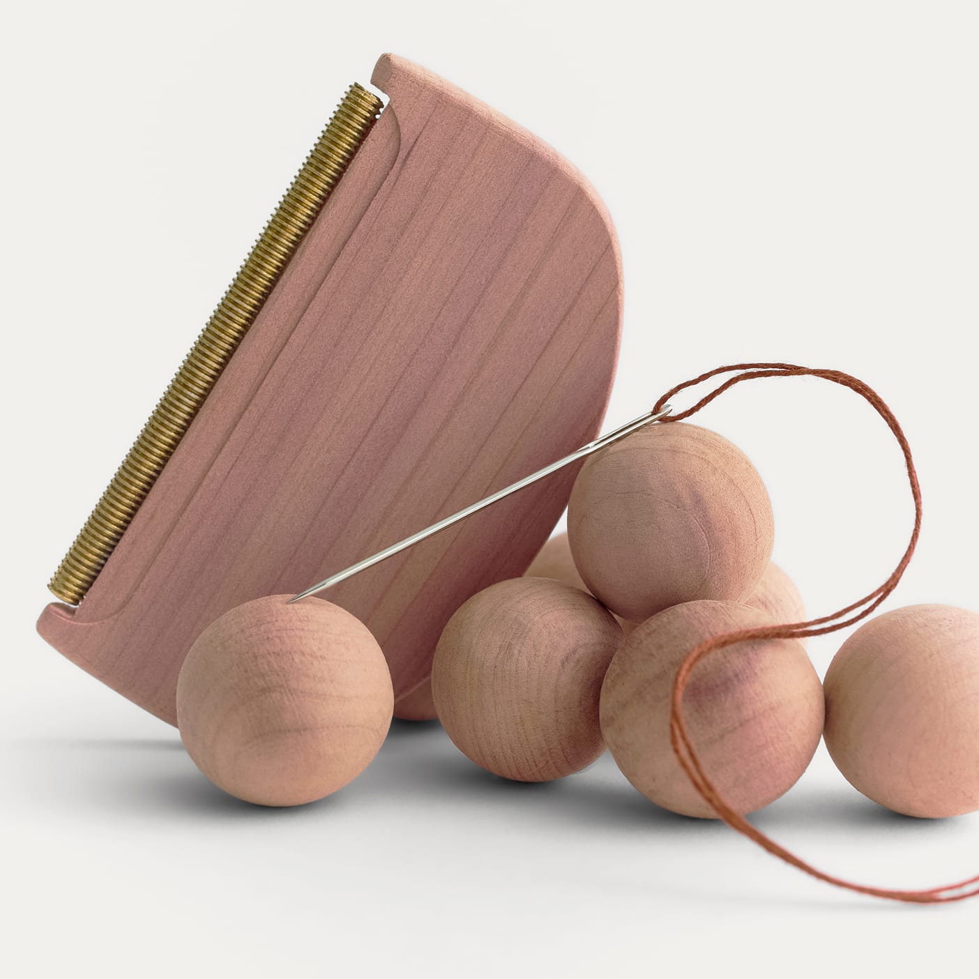 Everlane pic description