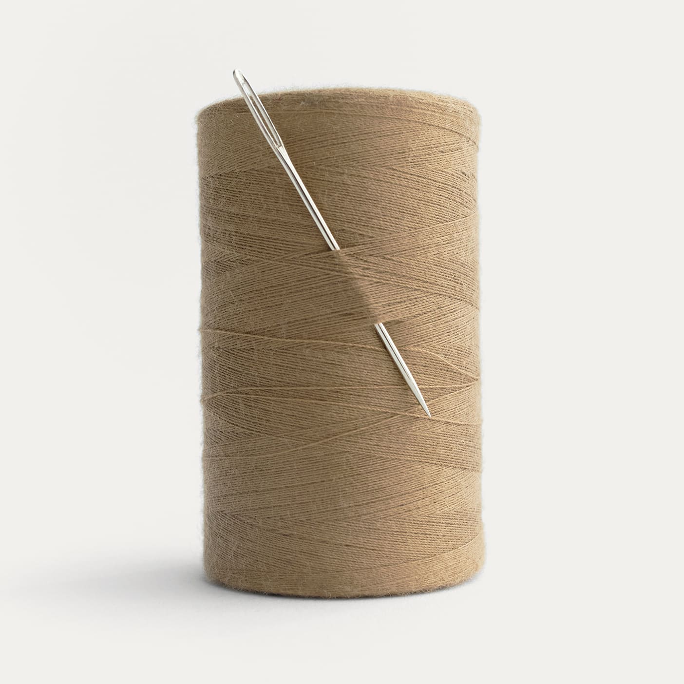 Everlane pic description