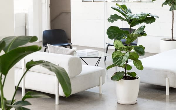 Everlane pic description